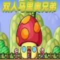 双人马里奥 V9.6.9