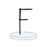 涂鸦大冒险最新版下载-涂鸦大冒险最新版安卓版v1.0